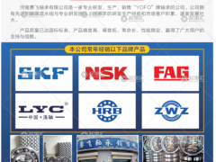 河南勇飛軸承有限公司已加入《起重匯采購指南》！
